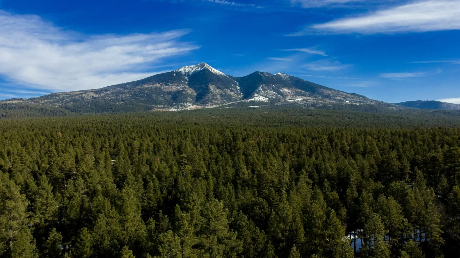 The San Francisco Peaks rising above ponderosa forest in Flagstaff, Arizona