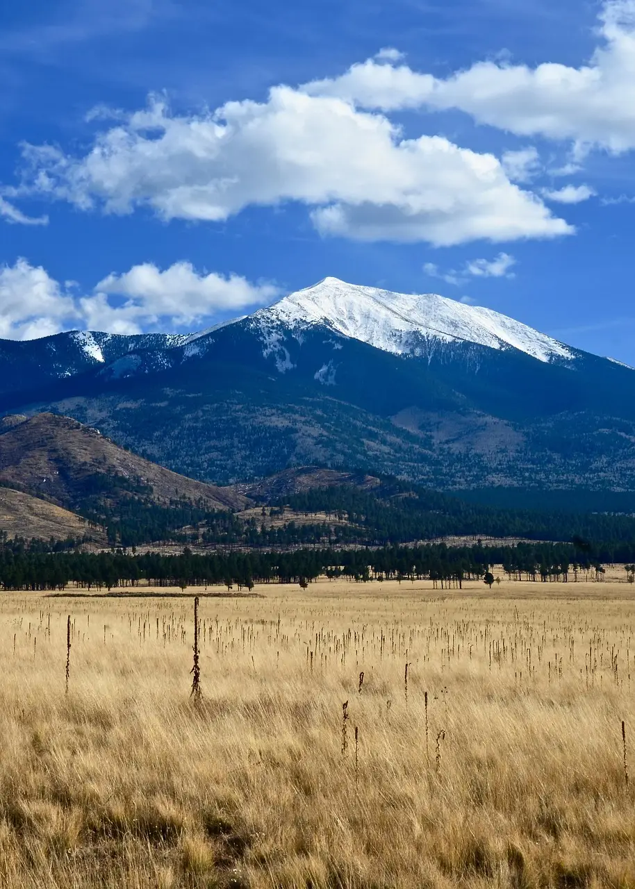 The San Francisco Peaks above a golden meadow near Flagstaff